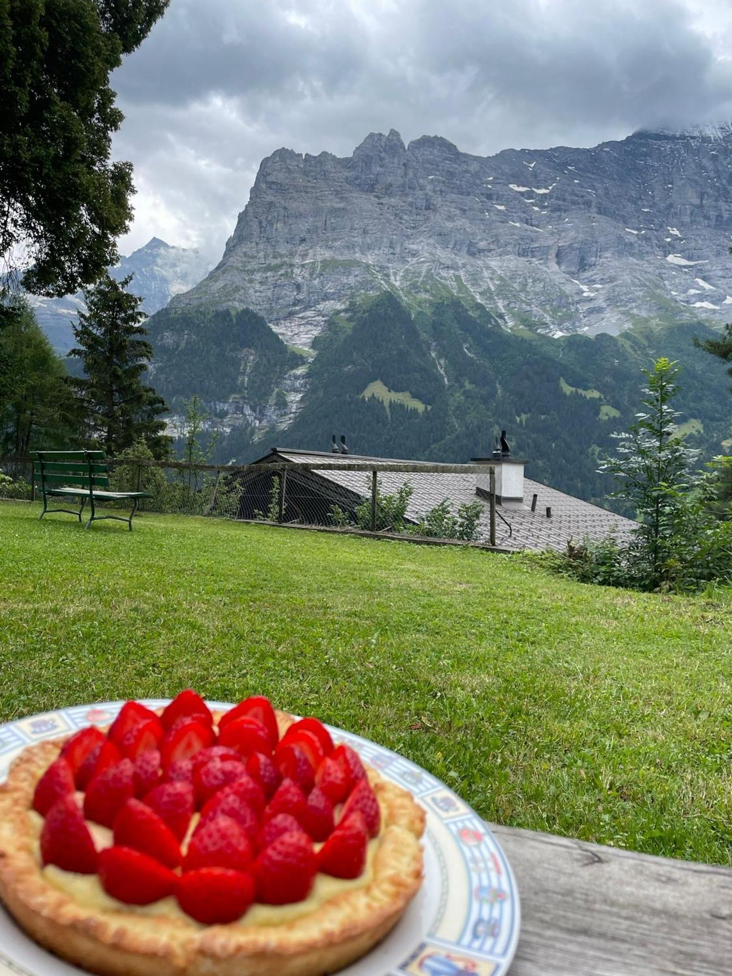 Eiger View Alpine लॉज Grindelwald